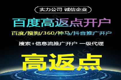 某品牌通过百度竞价提升线上销售业绩的案例